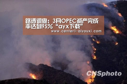 路透调查:3月OPEC减产完成率达到95%“ayx下载”(图1) 爱游戏体育下载