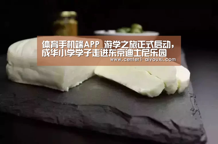 体育手机端APP_游学之旅正式启动,成华小学学子走进东京迪士尼乐园(图2) 爱游戏app