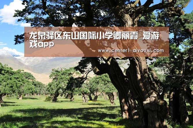 龙泉驿区东山国际小学卿丽霞_爱游戏app(图1) ayx下载