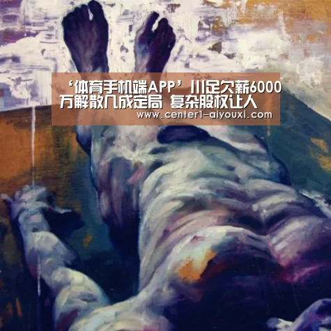 ‘体育手机端APP’川足欠薪6000万解散几成定局 复杂股权让人止步(图3) 爱游戏体育下载