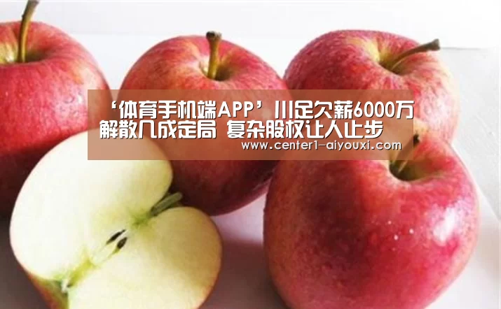 ‘体育手机端APP’川足欠薪6000万解散几成定局 复杂股权让人止步(图2) ayx下载