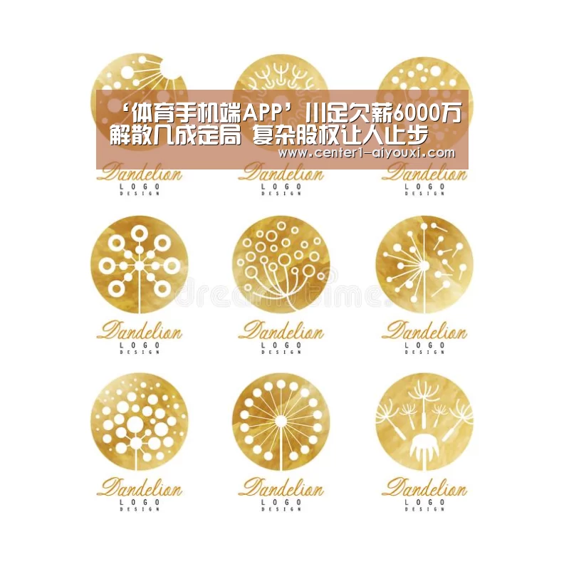 ‘体育手机端APP’川足欠薪6000万解散几成定局 复杂股权让人止步(图1) 爱游戏体育下载