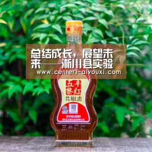 体育手机端APP