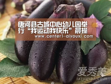 体育手机端APP