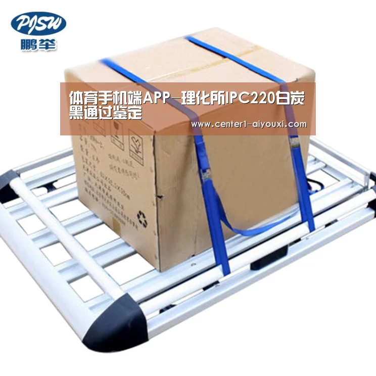 体育手机端APP-理化所IPC220白炭黑通过鉴定(图2) ayx下载