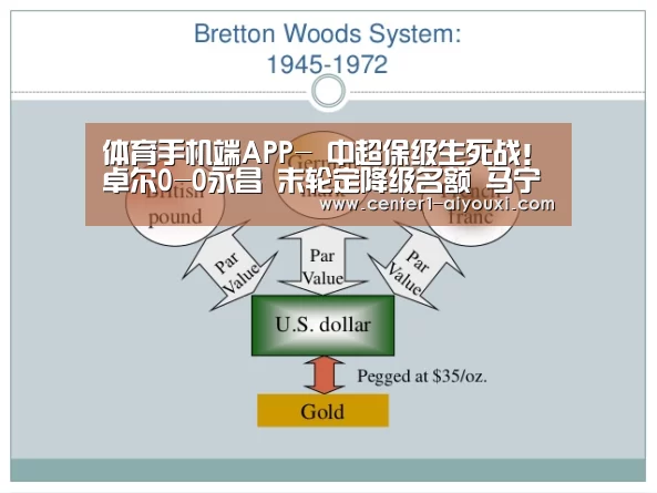 体育手机端APP