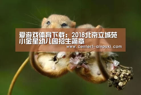 ayx下载