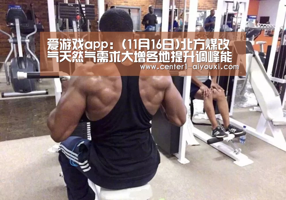 爱游戏app:(11月16日)北方煤改气天然气需求大增各地提升调峰能力保供应(图3) 体育手机端APP