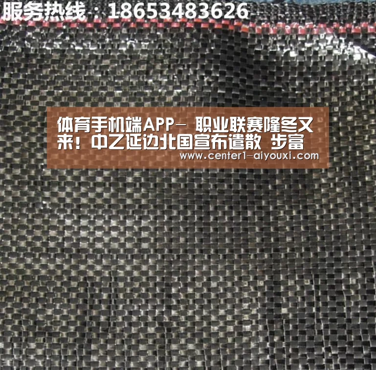 体育手机端APP-
职业联赛隆冬又来!中乙延边北国宣布遣散 步富德的后尘(图3) ayx下载