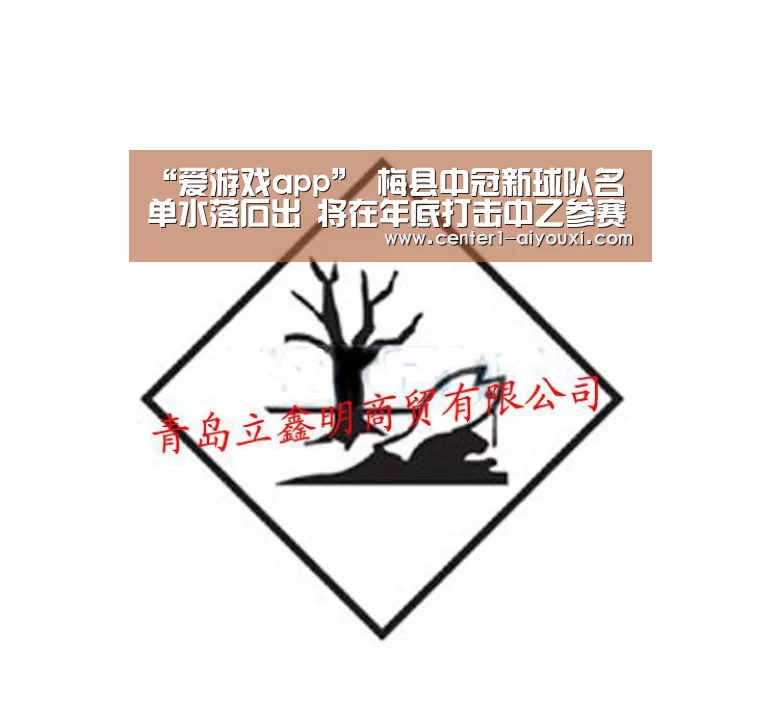 “爱游戏app”
梅县中冠新球队名单水落石出 将在年底打击中乙参赛资格(图1) 体育手机端APP