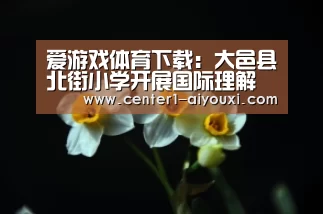 爱游戏体育下载:大邑县北街小学开展国际理解教育活动(图3) 体育手机端APP